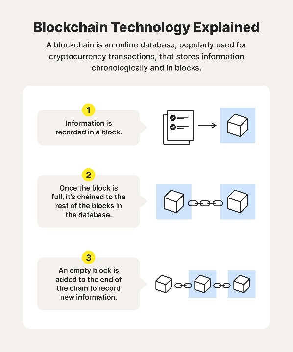Trust冷钱包实物图